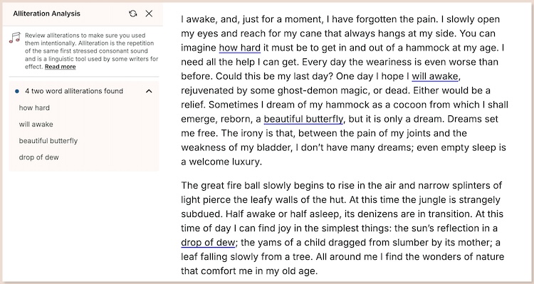 screenshot of alliteration report in prowritingaid