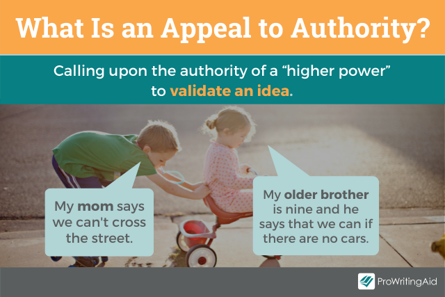 What is an appeal to authority