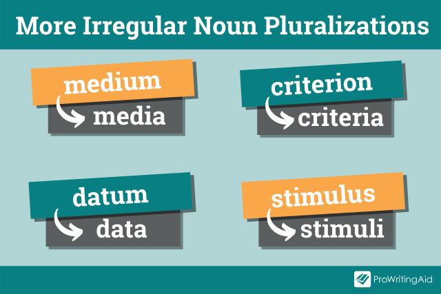 further examples of irregular pluralizations