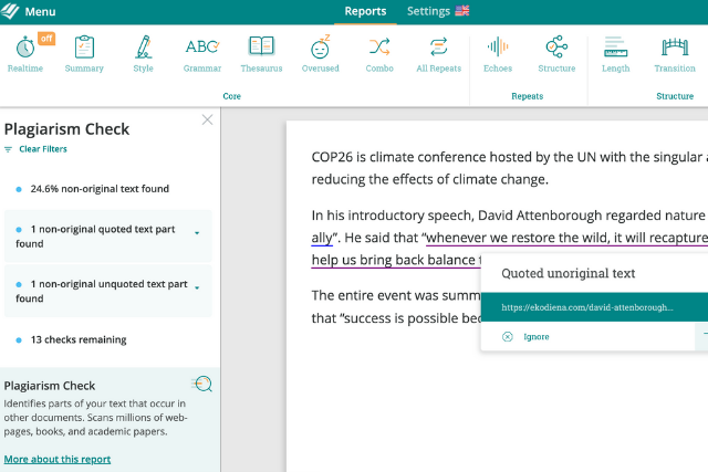 Screenshot of ProWritingAid's plagiarism checks