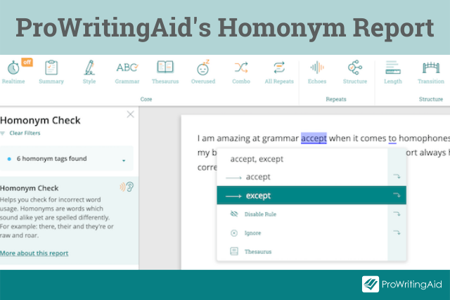 ProWritingAid's Homonym Report