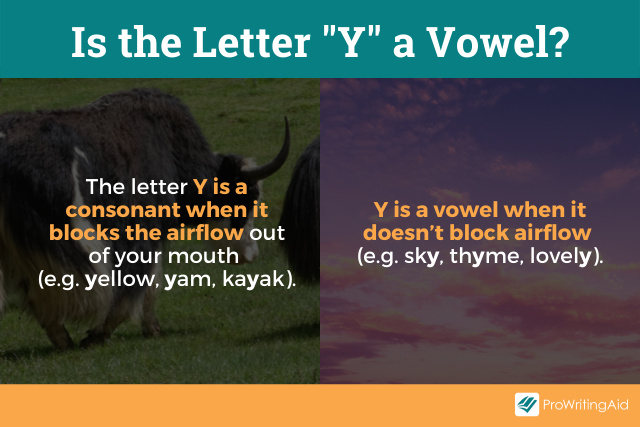 Is Y a vowel?